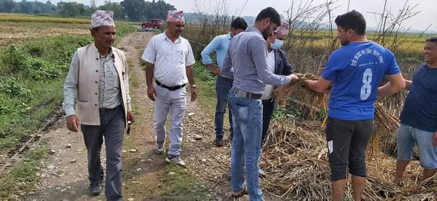 पीडित किसानका खेतमा शान्तिनगर ७ का वडाध्यक्ष वली