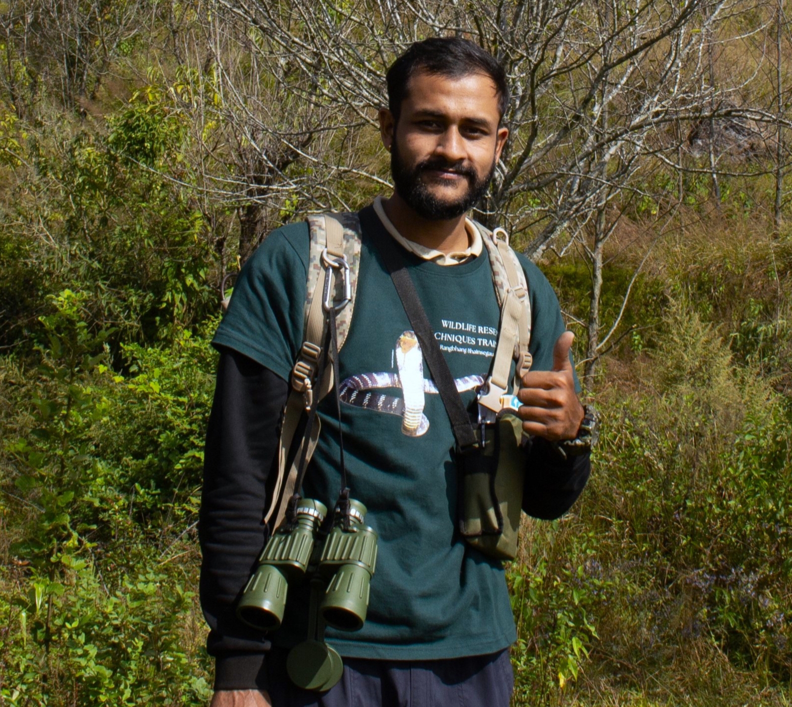 लजालु सर्प