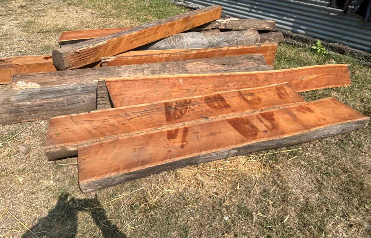 दाङमा अवैध सालको काठसहित २ जना पक्राउ