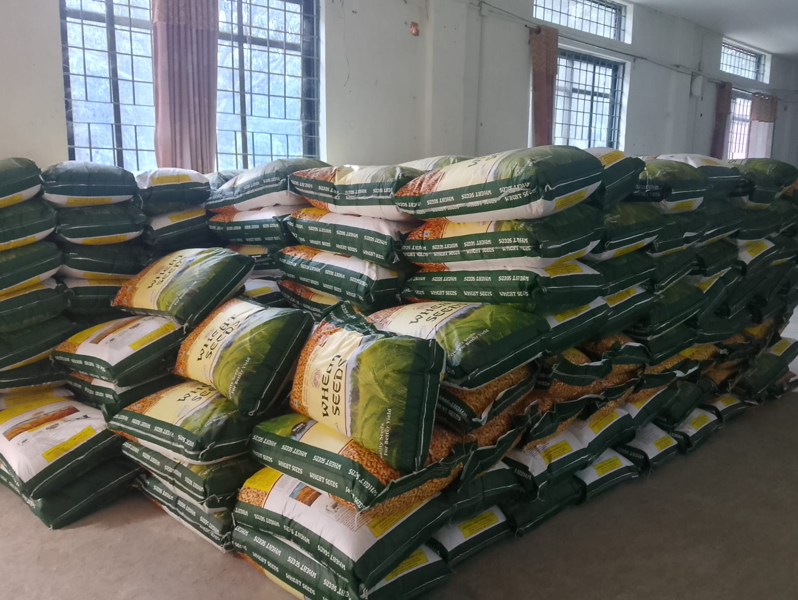 राप्तीमा ५० प्रतिशत अनुदानमा २ सय क्विन्टल बढी उन्नत जातको गहुँको बीउ वितरण