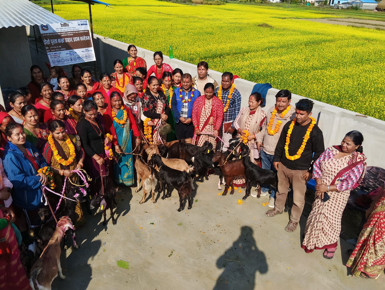 गढवा – ६ हांसीपुरमा भिटा परियोजनाअन्तर्गत दोस्रो पुस्ताका बाख्रा हस्तान्तरण