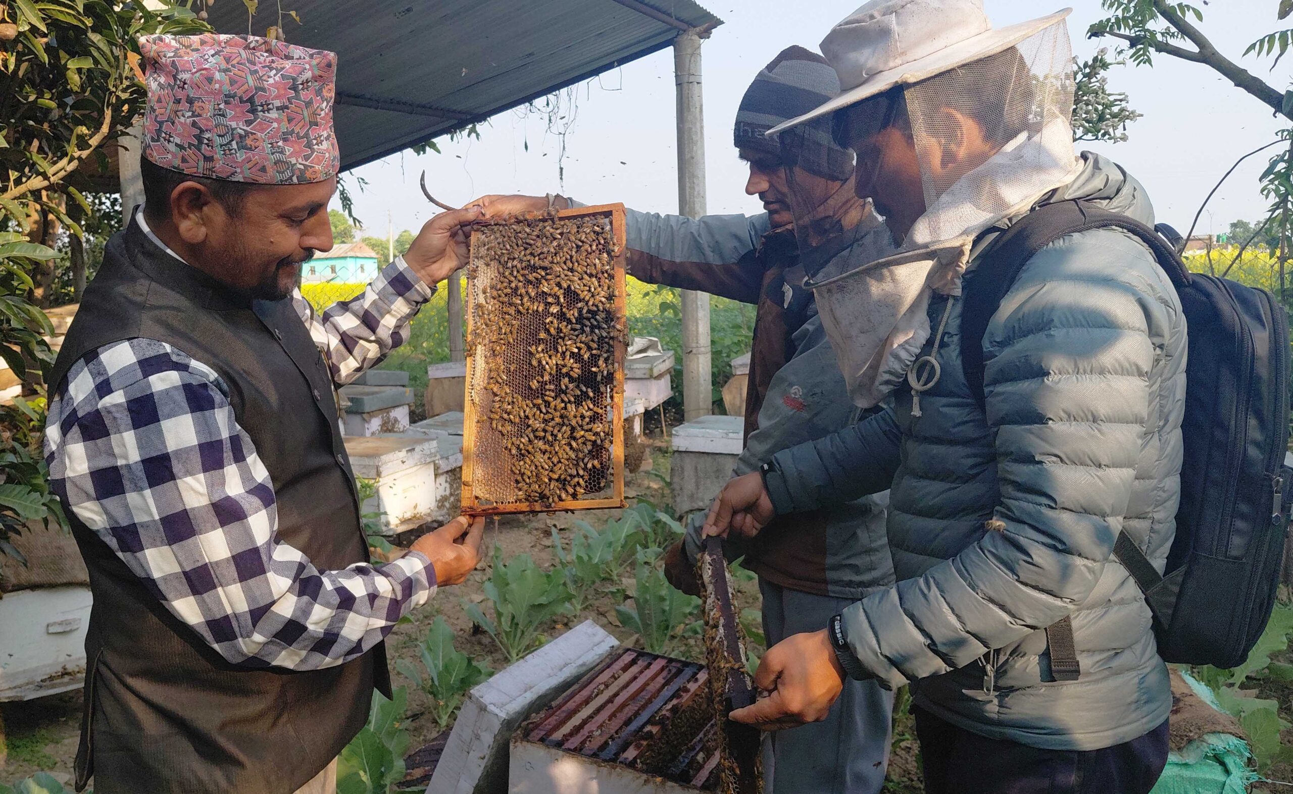 तुलसीपुरमा मौरीका चाका बनाउने उद्योगः पहिले आयात हुन्थ्यो, अहिले निर्यात